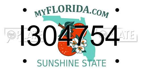 I304754 Florida License Plate