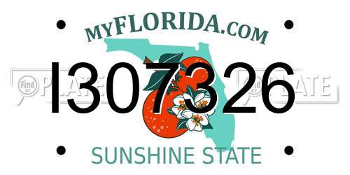 I307326 Florida License Plate