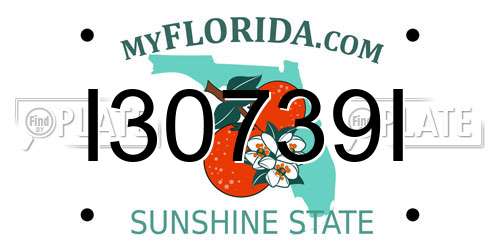 I30739I Florida License Plate