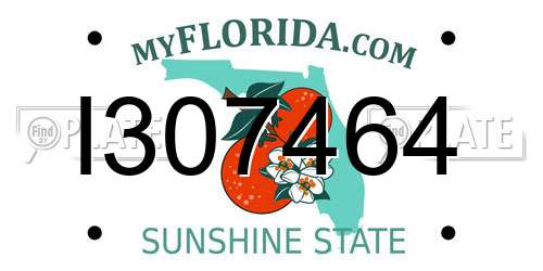 I307464 Florida License Plate