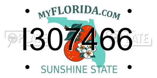 I307466 Florida License Plate