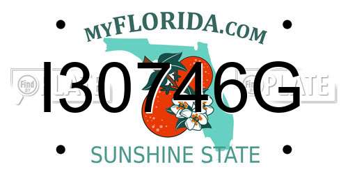 I30746G Florida License Plate
