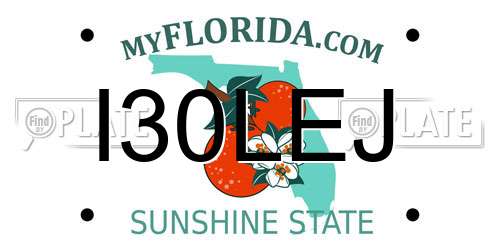 I30LEJ Florida License Plate