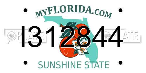 I312844 Florida License Plate