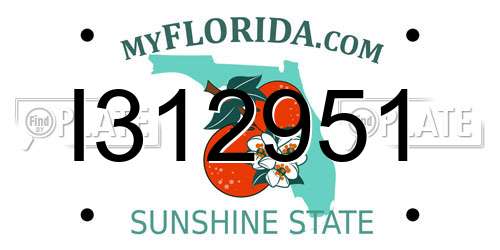 I312951 Florida License Plate