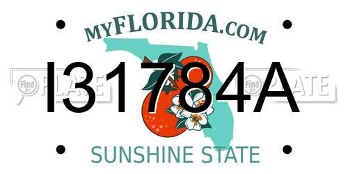 I31784A Florida License Plate