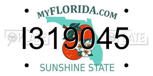 I319045 Florida License Plate