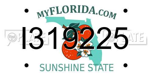 I319225 Florida License Plate