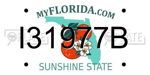 I31977B Florida License Plate
