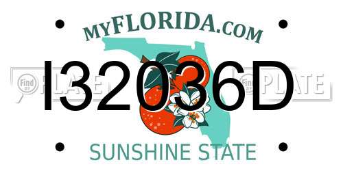 I32036D Florida License Plate