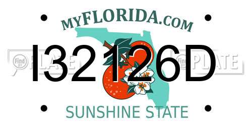 I32126D Florida License Plate