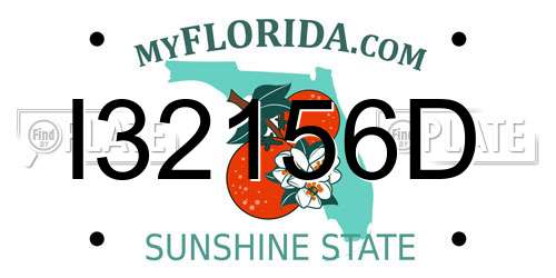 I32156D Florida License Plate