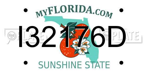I32176D Florida License Plate
