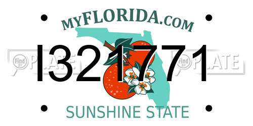 I321771 Florida License Plate