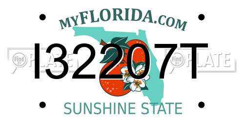 I32207T Florida License Plate