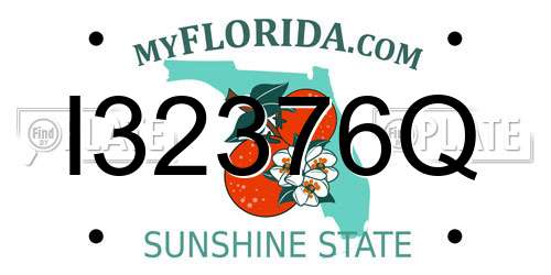 I32376Q Florida License Plate