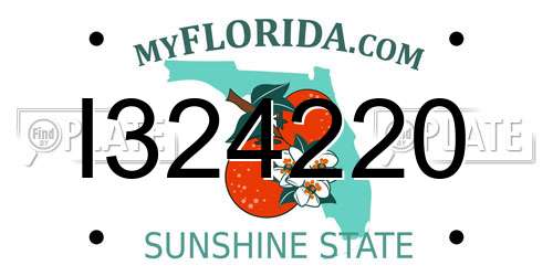 I324220 Florida License Plate