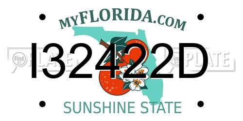 I32422D Florida License Plate