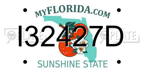 I32427D Florida License Plate