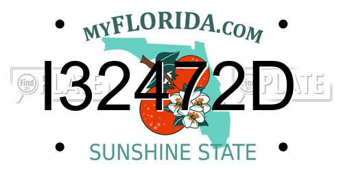 I32472D Florida License Plate