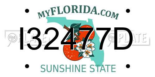 I32477D Florida License Plate