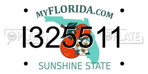 I325511 Florida License Plate