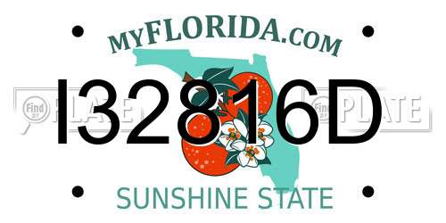 I32816D Florida License Plate