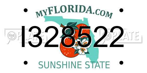 I328522 Florida License Plate