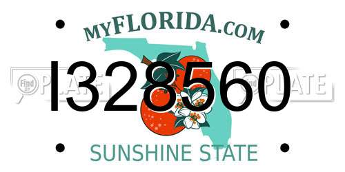 I328560 Florida License Plate