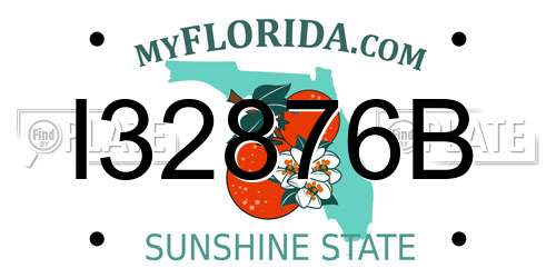 I32876B Florida License Plate
