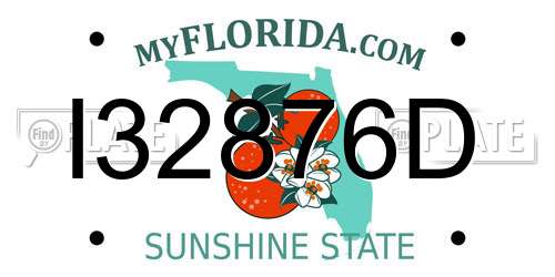 I32876D Florida License Plate