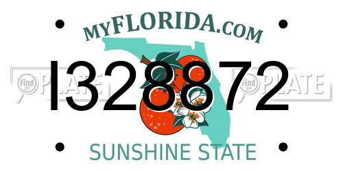 I328872 Florida License Plate