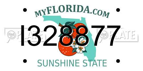 I328877 Florida License Plate