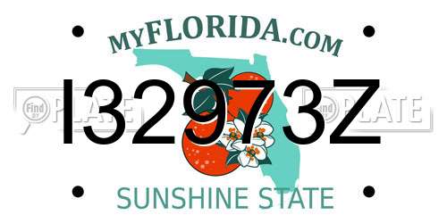 I32973Z Florida License Plate
