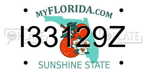 I33129Z Florida License Plate