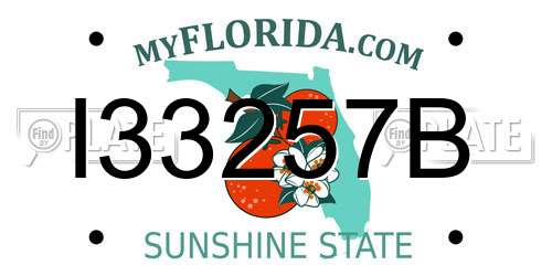 I33257B Florida License Plate
