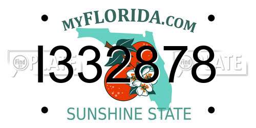 I332878 Florida License Plate