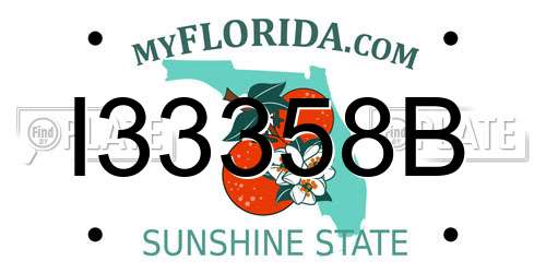 I33358B Florida License Plate