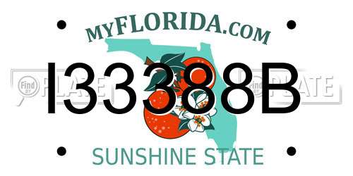 I33388B Florida License Plate