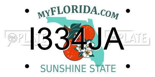 I334JA Florida License Plate