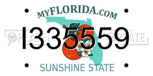 I335559 Florida License Plate