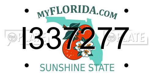 I337277 Florida License Plate