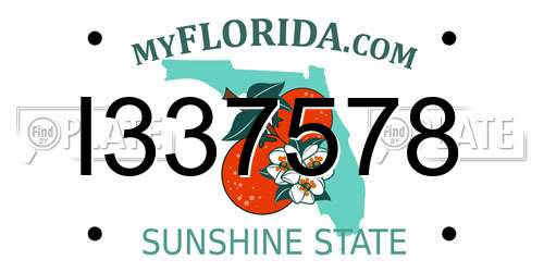I337578 Florida License Plate