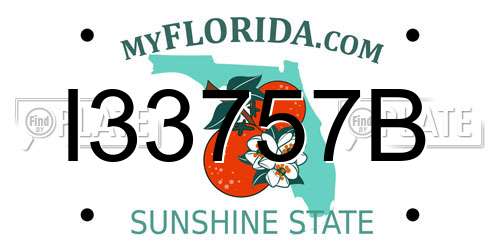 I33757B Florida License Plate