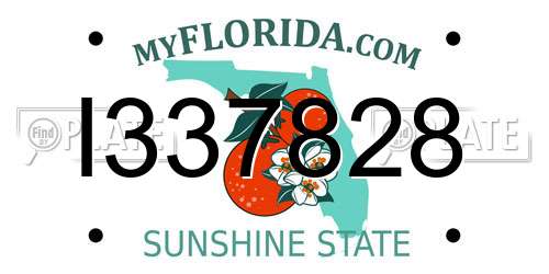 I337828 Florida License Plate