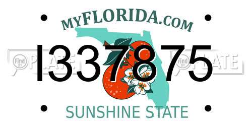 I337875 Florida License Plate