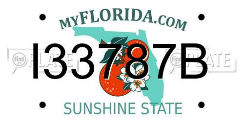 I33787B Florida License Plate