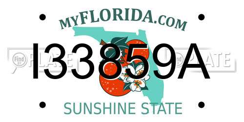 I33859A Florida License Plate