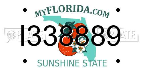 I338889 Florida License Plate