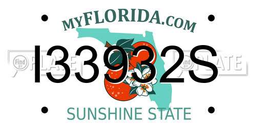 I33932S Florida License Plate